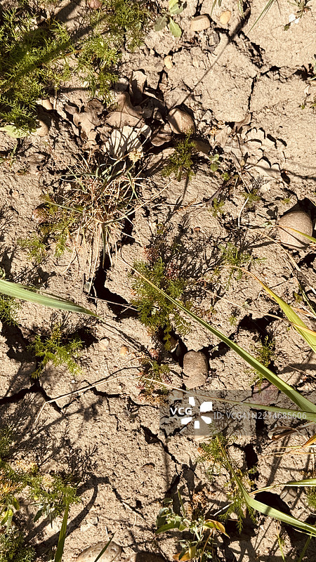 因缺乏降雨而导致的干旱土地特写图片素材