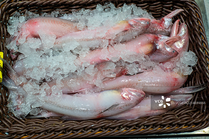 新鲜的银鲳鱼放在冰上保存图片素材