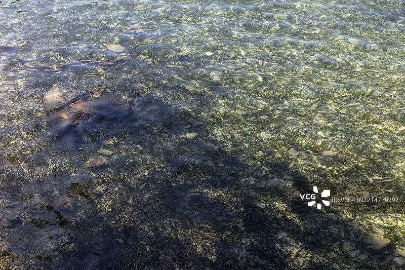 博拉博拉，罗萨里奥群岛，哥伦比亚，南美洲图片素材