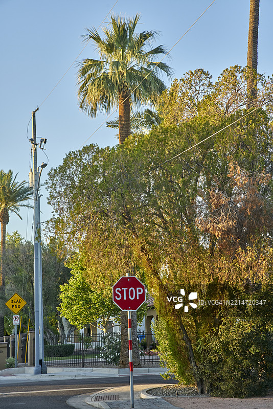在美国亚利桑那州菲尼克斯北中部的第七街与蒙特贝罗大道交叉口的停车标志。图片素材