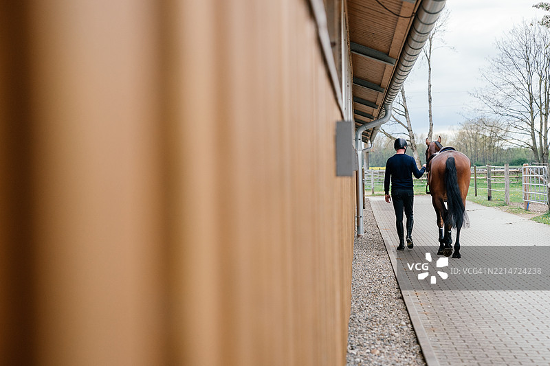 男骑士牵着马在小路上行走图片素材