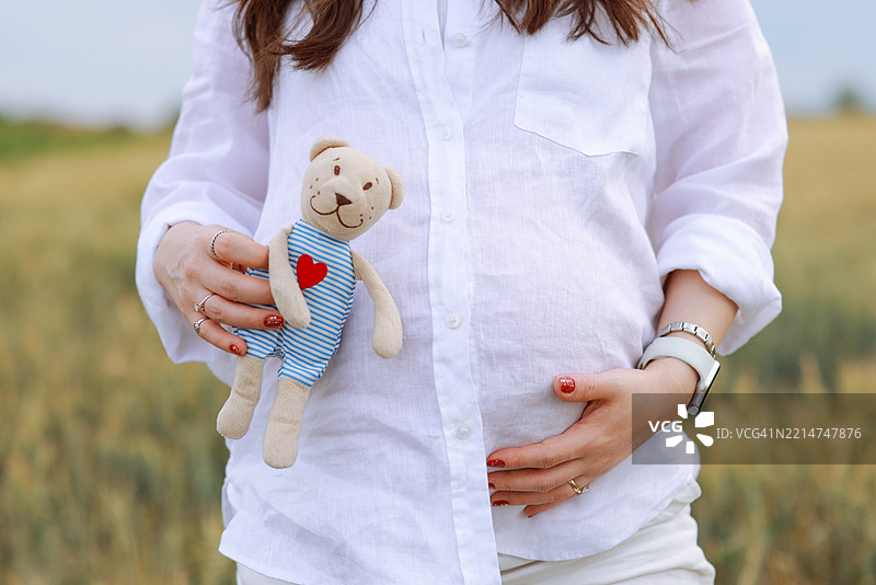怀孕的女人在自然的草地上站着，手里抱着一只泰迪熊玩具图片素材