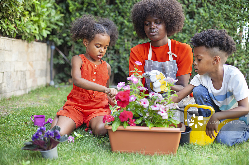 春天的日子里，快乐的家庭在后院园艺图片素材
