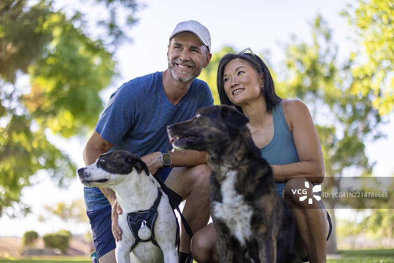 一对情侣牵着他们的狗散步图片素材