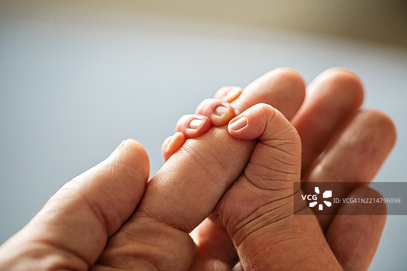 新生儿握着父亲的手指图片素材