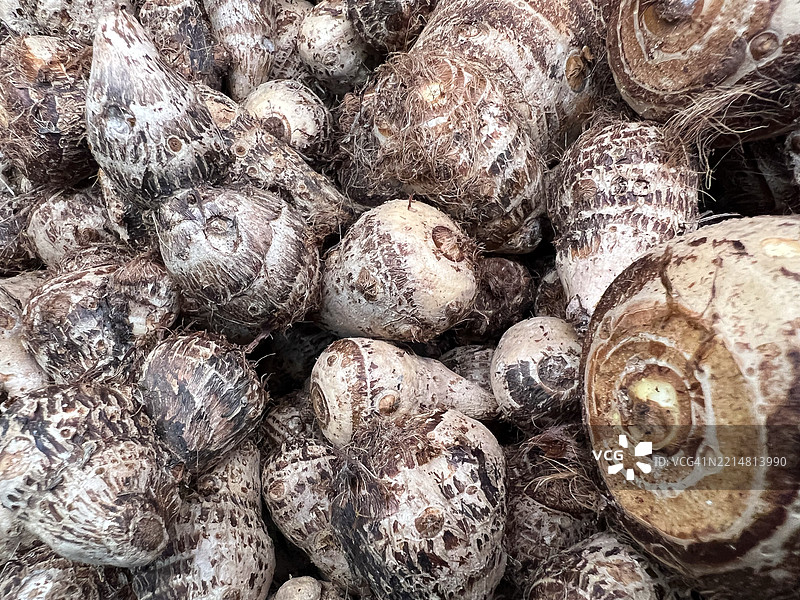 一大堆未成熟的芋头根图片素材