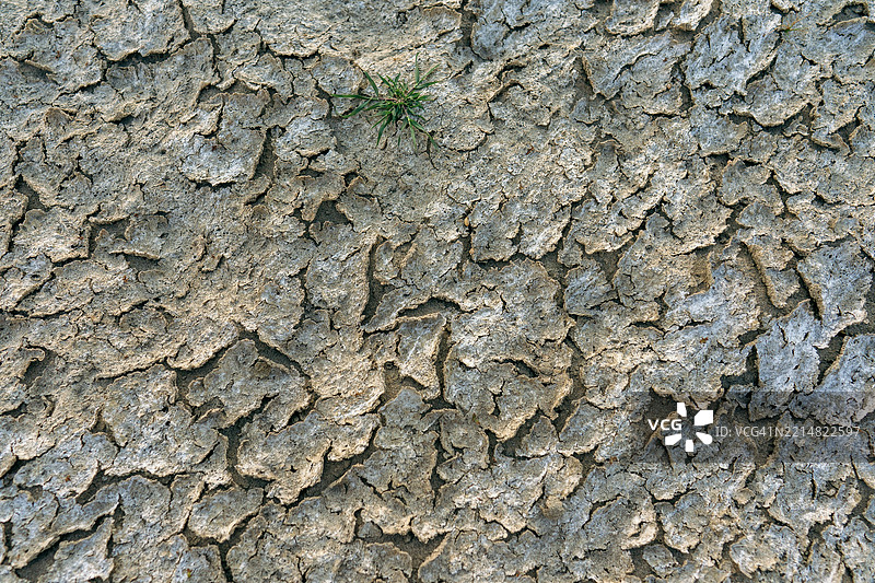 无遮蔽河床上的干泥图片素材