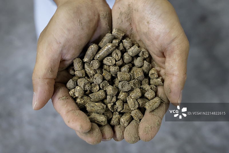 一个人手握一把颗粒燃料图片素材