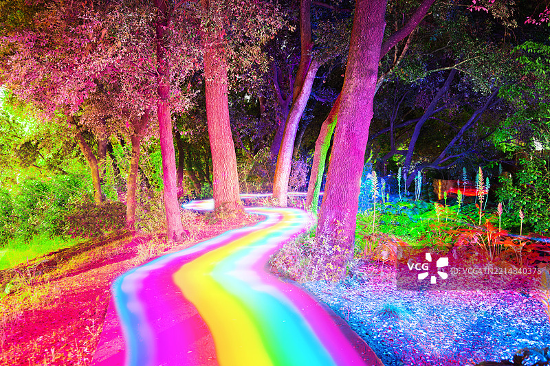 视觉彩虹小径在夜晚照亮并连接五彩斑斓的森林图片素材