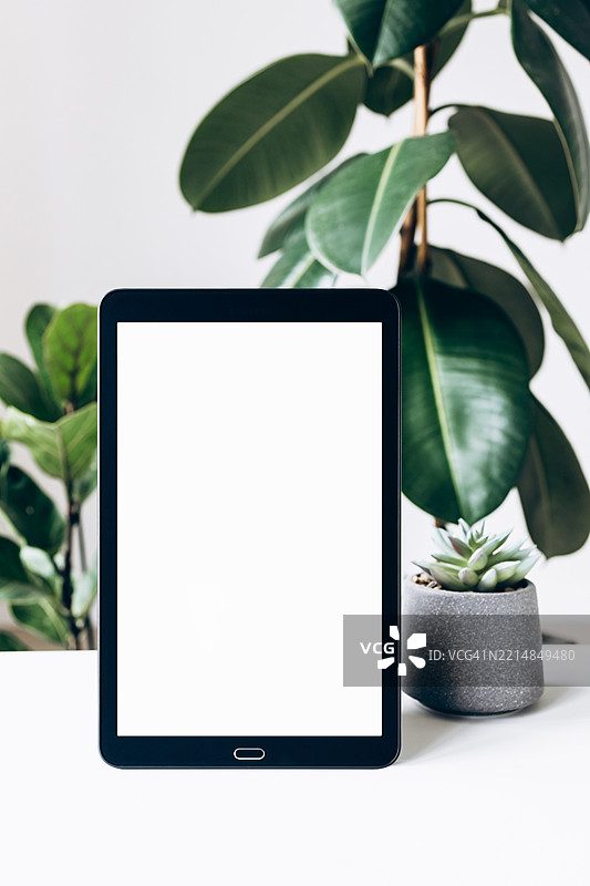 白色桌面上的平板电脑，屏幕空白，背景有绿色室内植物 - 极简数字工作空间概念图片素材