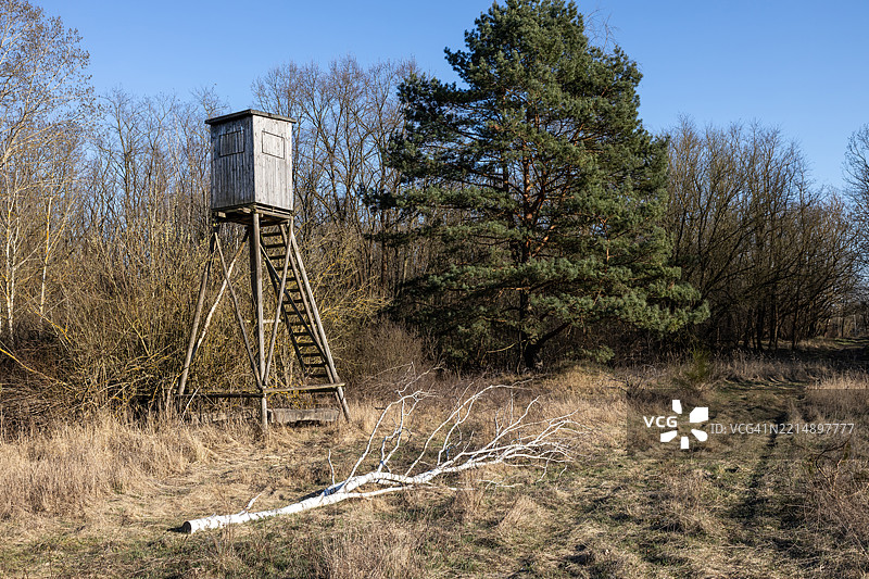 猎人在森林中的高架子图片素材