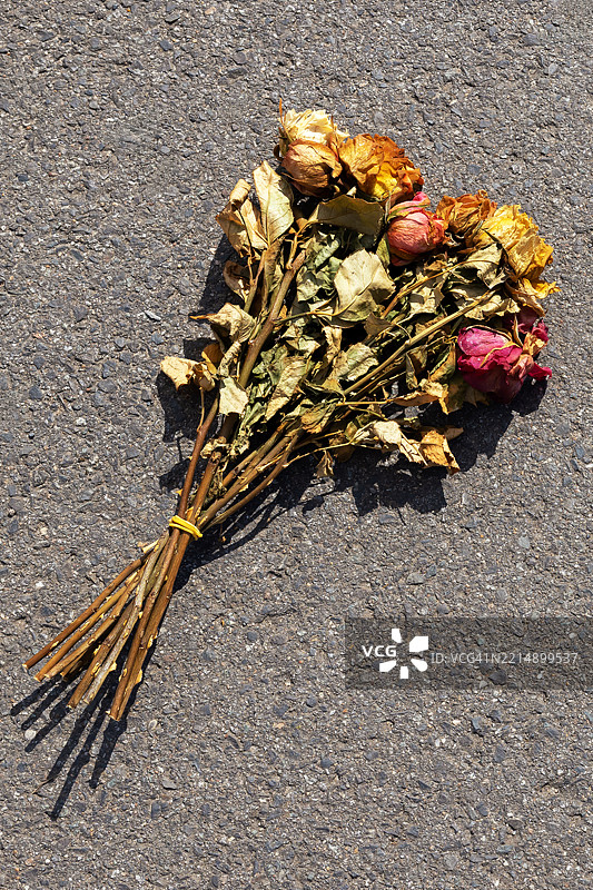 干花束的花卉排列在沥青背景上图片素材