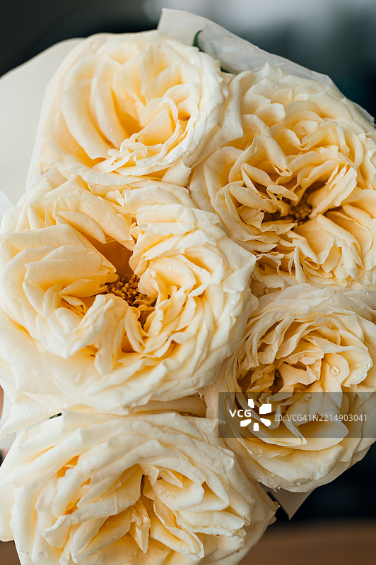 一束牡丹玫瑰图片素材