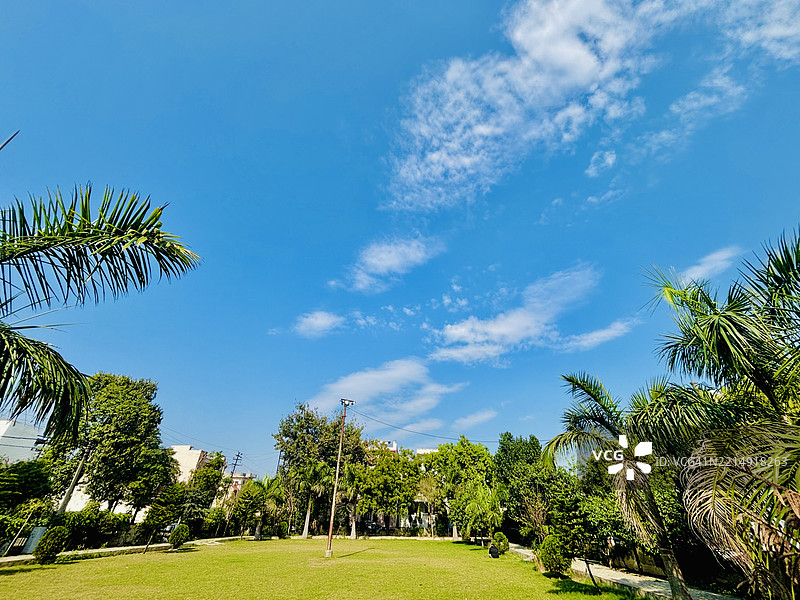 公园里的树木与蓝天，梅鲁特，北方邦，印度图片素材