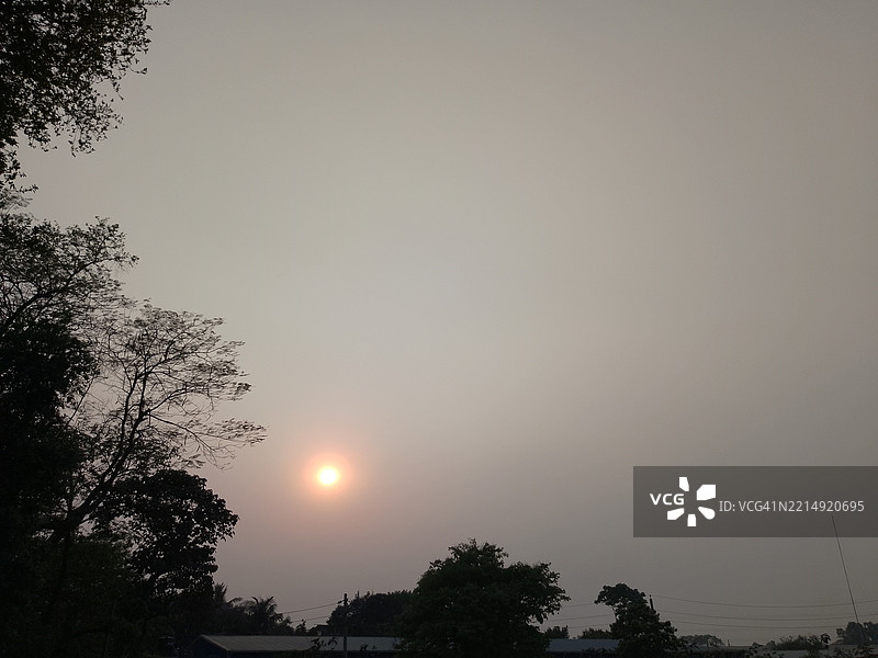 日落时分，孟加拉国天空下树木的剪影低角度视图图片素材