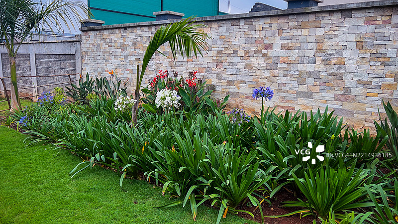 建筑旁盛开的花卉植物与天空的景观图片素材