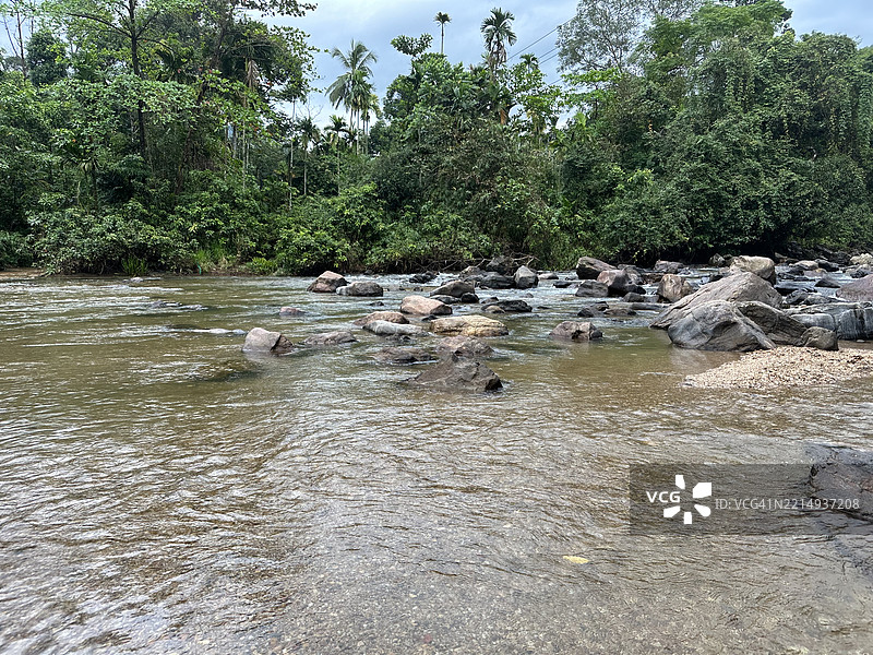斯里兰卡雅提扬托塔森林中的河流风景。图片素材