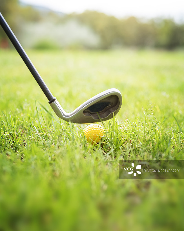 垂直视角的高尔夫球杆准备击打高尔夫球，背景是高尔夫球场的绿草，适合高尔夫比赛和竞赛，户外运动，假期的爱好与乐趣，夏季。图片素材