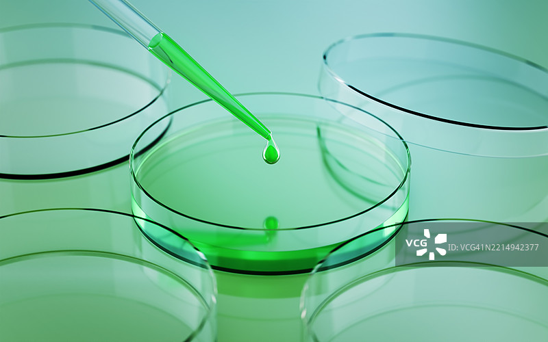 在绿色反光背景上用玻璃移液管将液体测试到培养皿中图片素材
