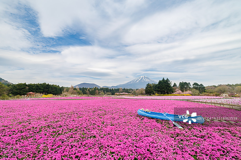一只船被放置在沙滩上，可以作为花海拍摄纪念照片的背景。图片素材