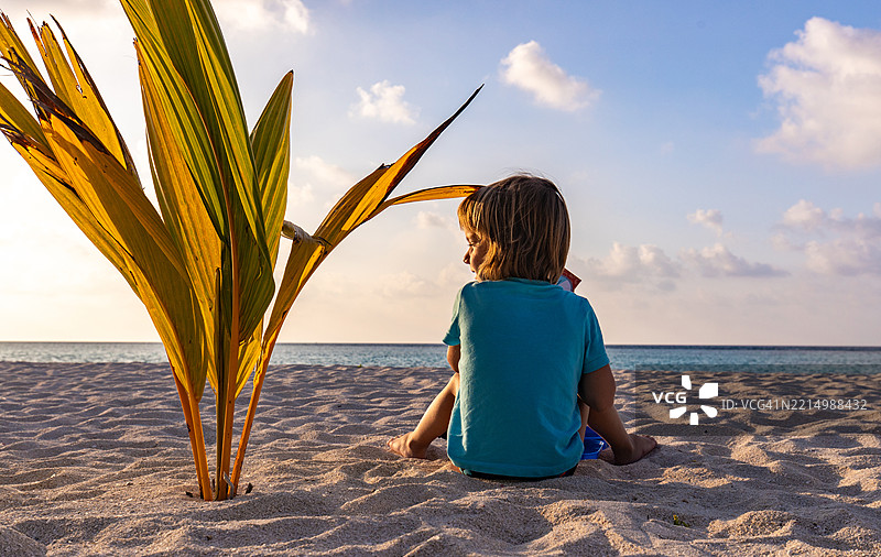 可爱男孩在沙滩上放松的背影。图片素材