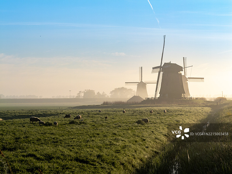 雾中的三座风车。荷兰。图片素材