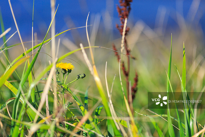 北海道野寒布岬的风景图片素材