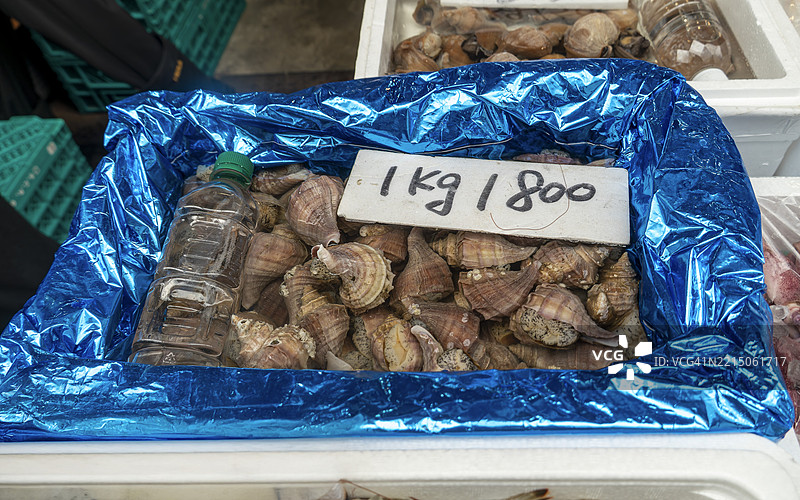 横滨桥市场出售新鲜海螺图片素材