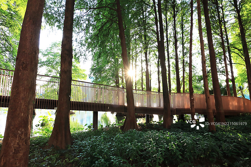 公园里的高架桥图片素材