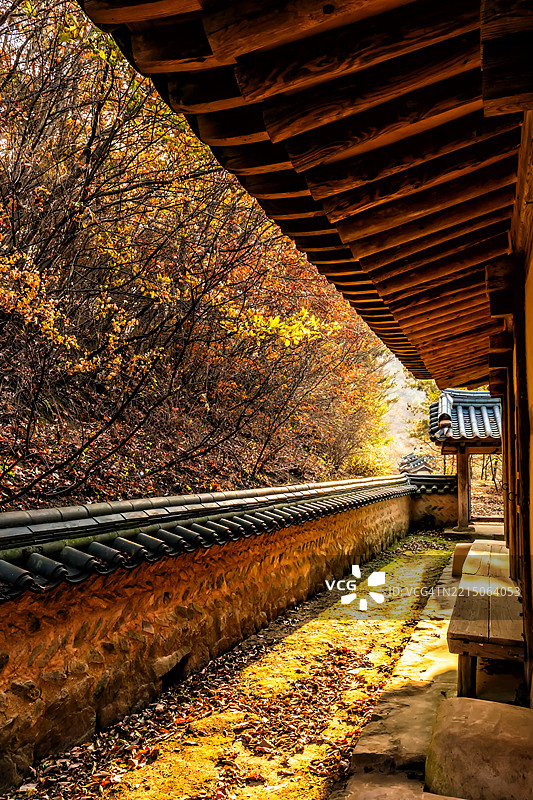 传统韩国墙与秋季小径图片素材