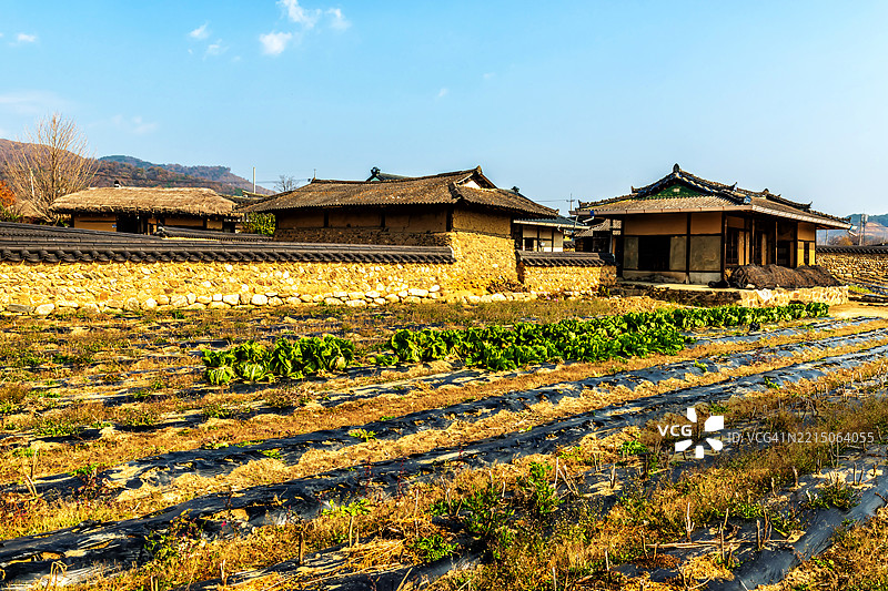 传统的韩国茅草屋和农田图片素材