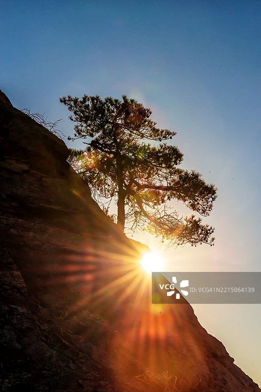 阳光透过岩石悬崖上的树木图片素材