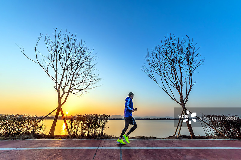 日落和光秃树木映衬下的慢跑者图片素材