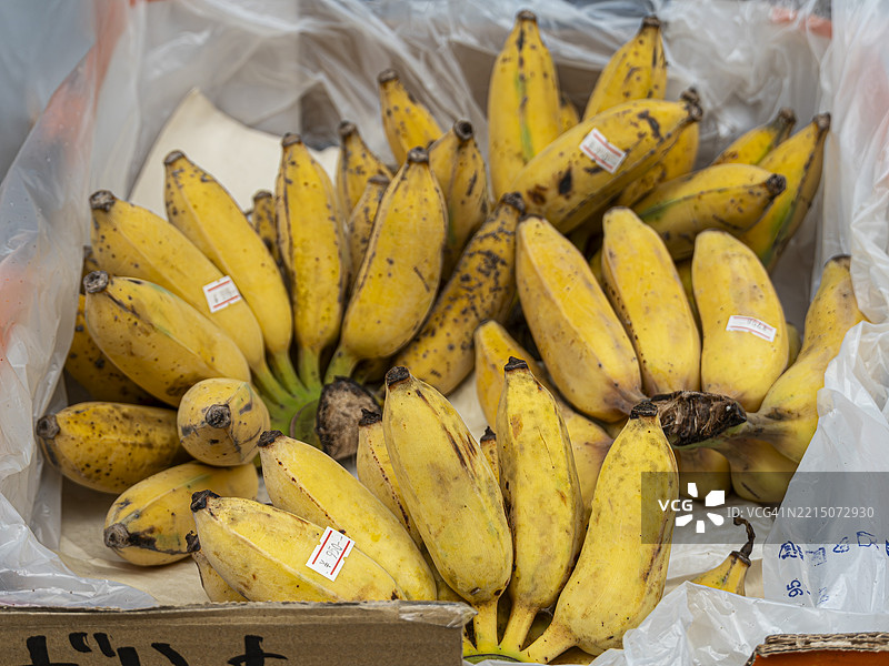 横滨桥市场的越南杂货店里的小香蕉（女士手指香蕉）图片素材