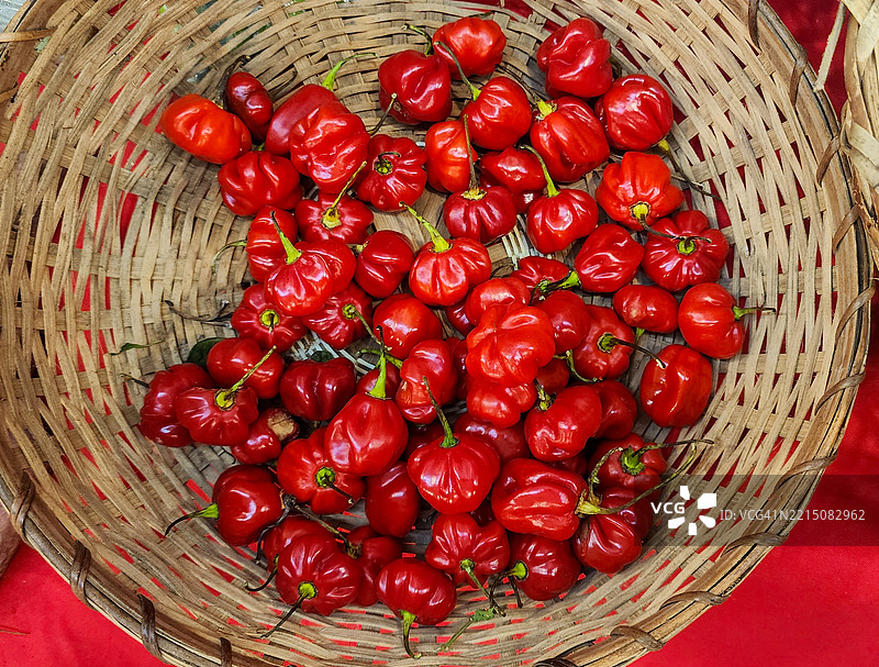 红哈瓦那辣椒篮，菲律宾达沃市图片素材