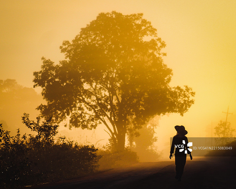 巴西马托格罗索潘塔纳尔日出时分行走的人影图片素材