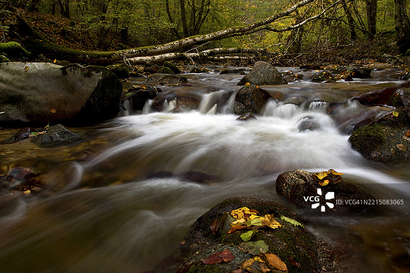 宁静的秋季溪流穿过森林图片素材