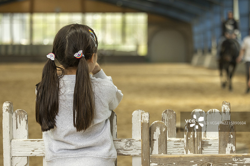可爱的女孩在看马图片素材