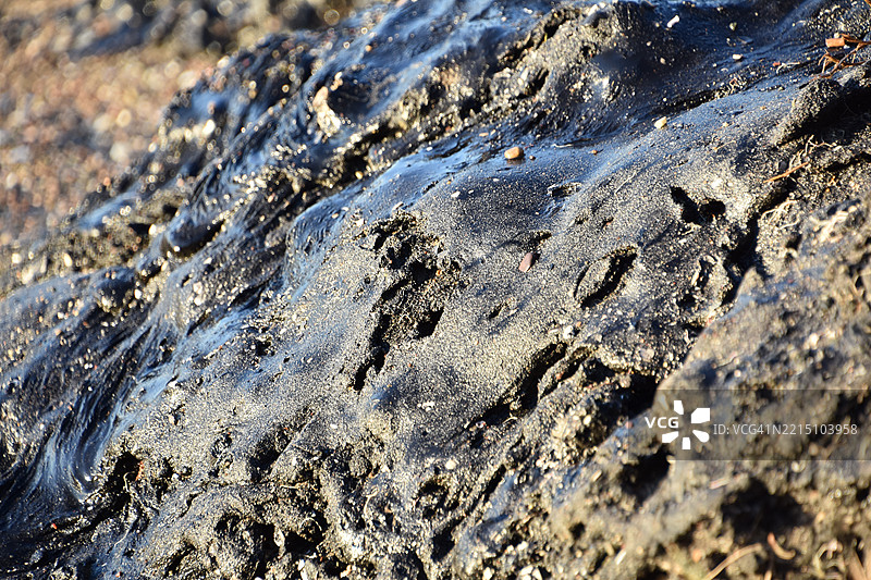 加利福尼亚州卡彭特里亚海滩上的一团沥青上的沙粒图片素材