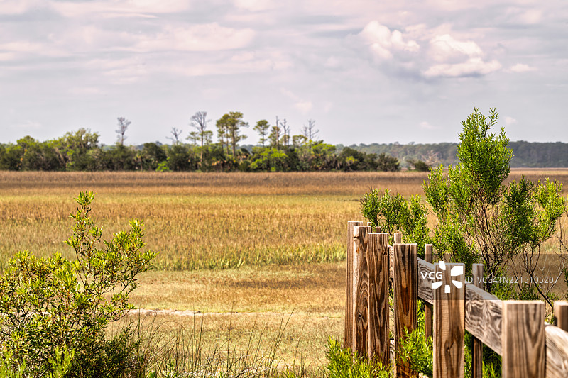 南卡罗来纳州博福特的天空下的田野美景图片素材