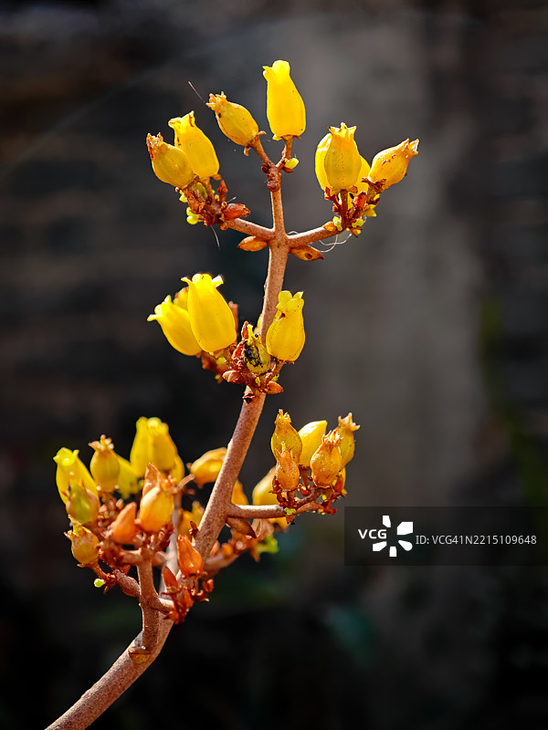 注意到她微笑时，他的嘴角形成了引号。图片素材