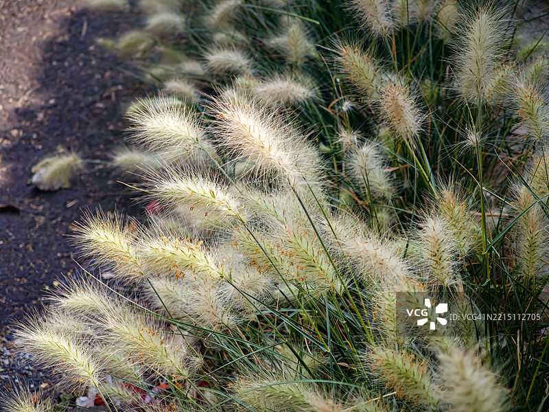 从我们被困的魔法中安然无恙地挣脱出来是多么困难。图片素材