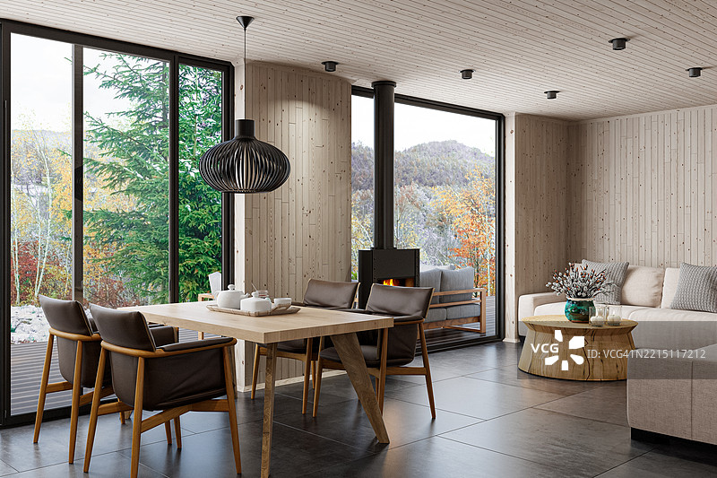 斯堪的纳维亚风格的客厅，配有沙发、壁炉和自然木质装饰图片素材