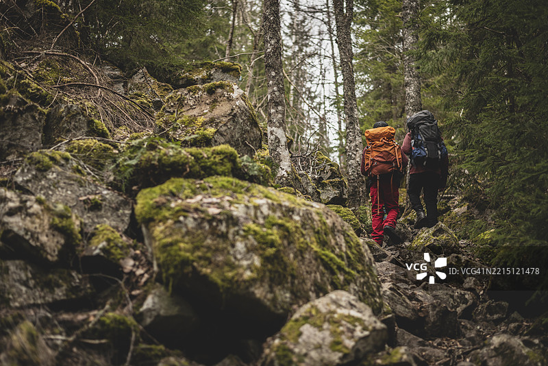 父亲和女儿背着背包在森林中攀爬岩石探险图片素材