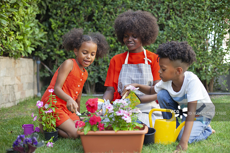 春天的日子里，快乐的家庭在后院园艺图片素材