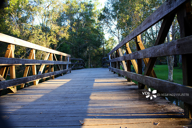 森林中树木间的空旷人行天桥图片素材