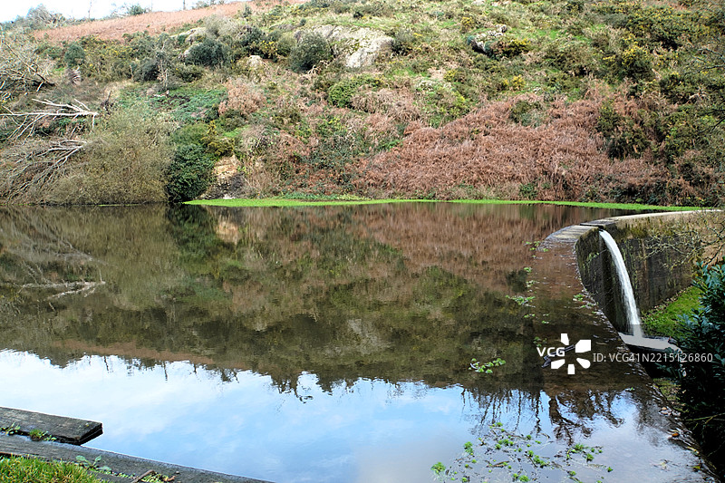 森林岸边的湖泊倒影与溢出水面图片素材