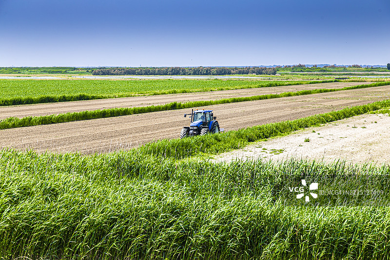 清澈天空下的田野美景图片素材