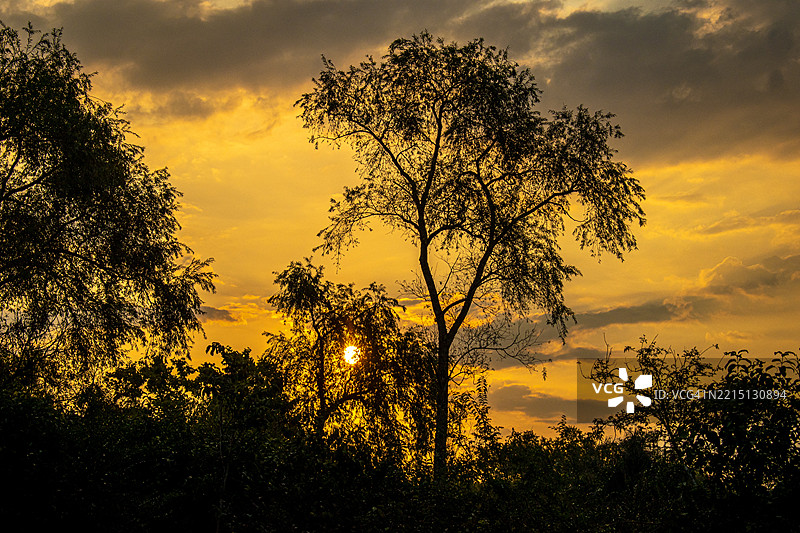 日落时分，红色天空，多云的天空，树木与自然。阿根廷布宜诺斯艾利斯的蒂格雷。图片素材