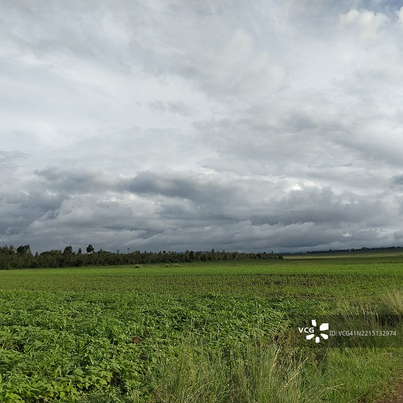 农业田野与天空的美丽景色图片素材